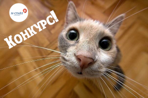Новый конкурс!