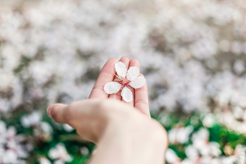 Soft skills для главного бухгалтера Soft skills для главного бухгалтера